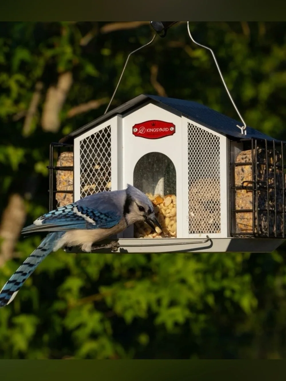 3 In 1 Outdoor Metal Bird Feeder Large Capacity Hanging Seed  Double Suet Feeder